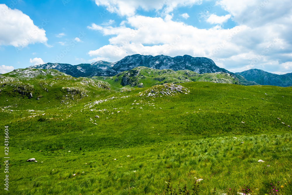green beautiful valley, mountains and blue sky in Durmitor massif, Montenegro