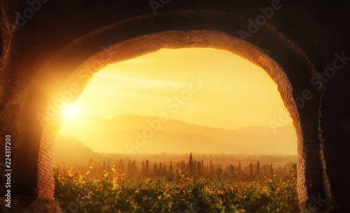 Beautiful view of the vineyard Alazani valley in the province of Kakheti, Georgia photo