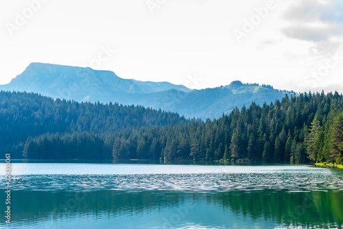 Fototapeta Naklejka Na Ścianę i Meble -  beautiful glacial Black Lake, forest and mountains in Montenegro