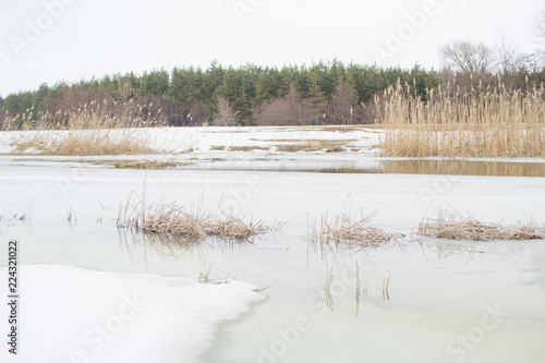 Wallpaper Mural Beautiful winter frozen river and forest landscape in the county. Torontodigital.ca