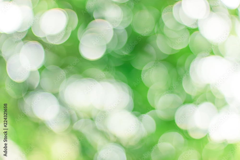 Sunshine green and white bokeh background Sunshine green and white bokeh background
