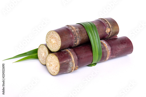Fresh sugarcane isolated on white background. Sweetness that caused of diabetes mellitus disease, health care in concept.