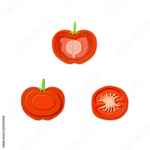 Set of paper cut red tomato. Vector paper cut design in the form of ripe tomato whole and slice for design of food packaging. Vector illustration. Paper applique art style vegitable. Origami concept.