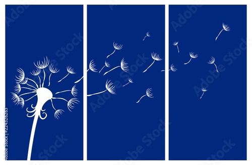 Fototapeta Naklejka Na Ścianę i Meble -  The Field dandelion.