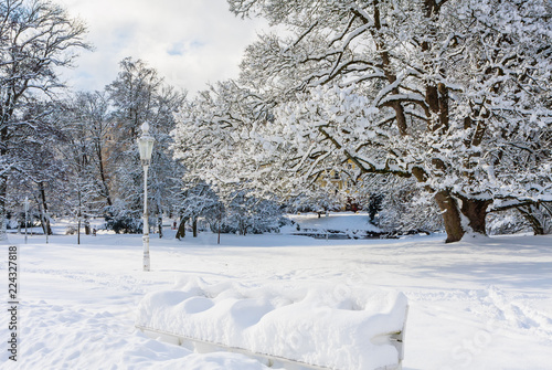 Photography Winter in central park - Marianske Lazne (Marienbad) - great famous Bohemian spa
