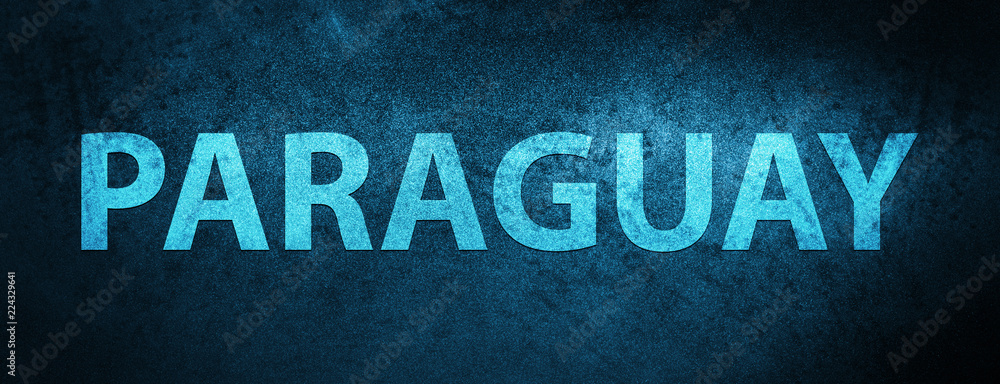 Obraz premium Paraguay special blue banner background