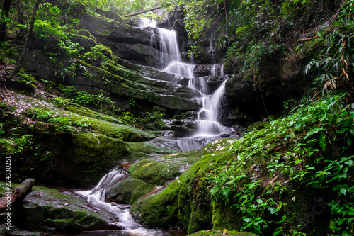 Fototapeta Naklejka Na Ścianę i Meble -  waterfall among nature green moss and rock