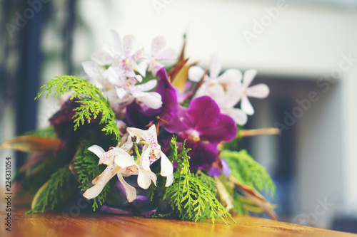 colorful flowers