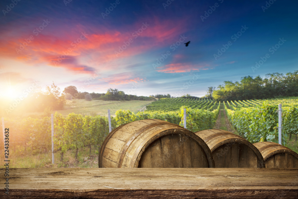 Obraz premium Ripe wine grapes on vines in Tuscany, Italy. Picturesque wine farm, vineyard. Sunset warm light