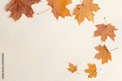 Autumn maple leaves on beige background. Flat lay, copy space.