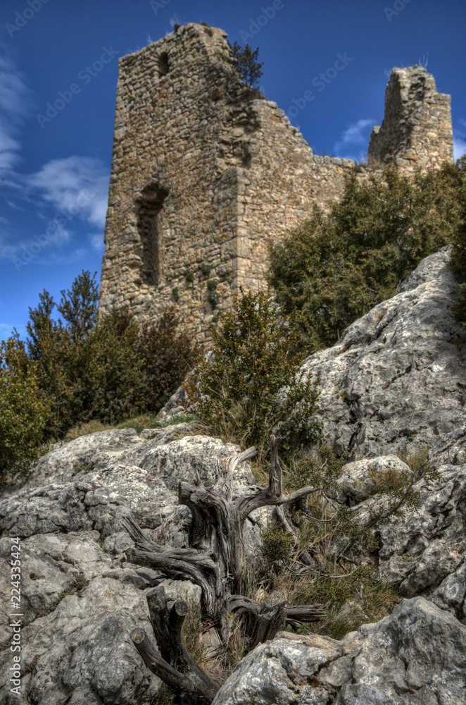 Ruine de château médiéval à Samitier, Aragon, Espagne