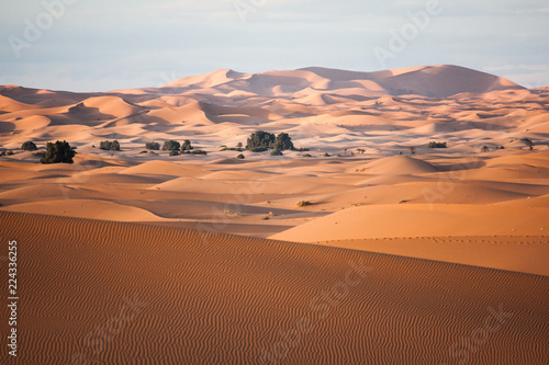 Sandd  nen am Rand der W  ste in sanftem Abendlicht