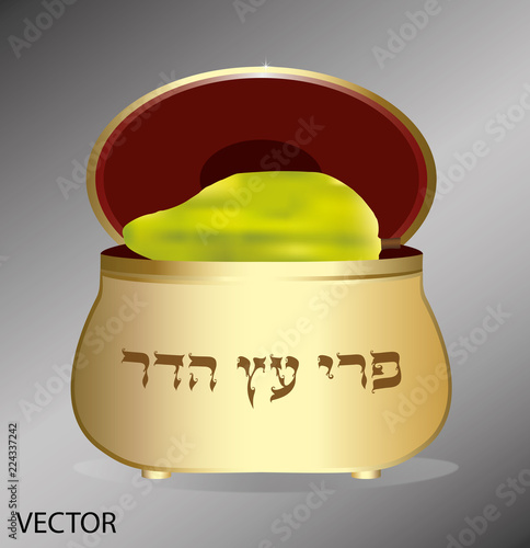Etrog in a box for Sukkot. vector. Translation of the text: fruit of an elegant tree