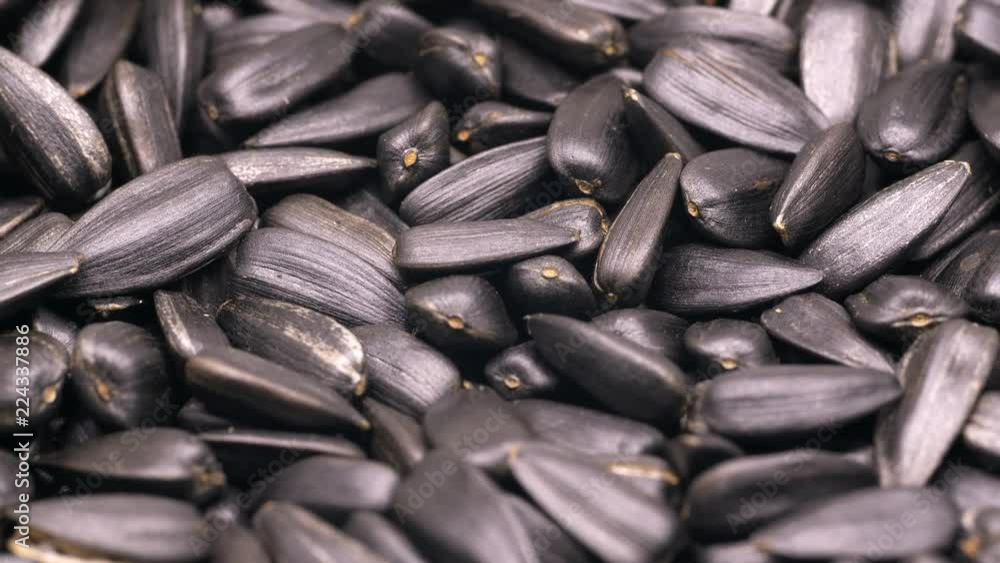 UHD macro of the unpeeled sunflower seeds on a turntable UHD macro of the unpeeled sunflower seeds on a turntable