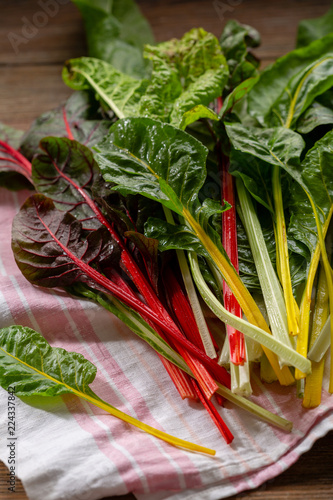 Quadro em tela Harvest of swiss chard