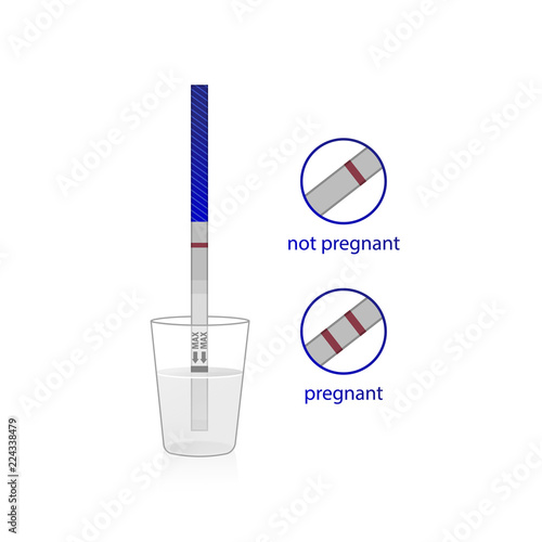 Pregnancy test set. Positive and negative pregnancy tests