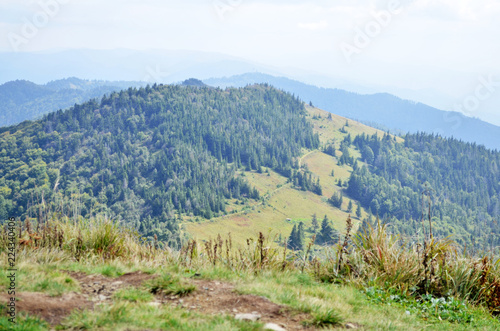 Mountain view of the forest and the path on the side of the mountain