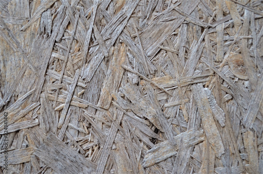 texture of wood texture of wood