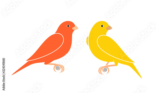 Canary logo. Isolated canary on white background