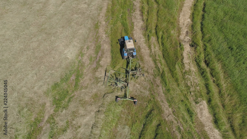 Aerial, view agricultural machinery with wheeled rake makes ranks beveled hay.Tractor which is lining up dried grass getting it ready for pickup so it can be used as animal fodder summer day.