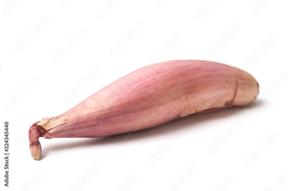 closeup of long Shallot on white background closeup of long Shallot on white background
