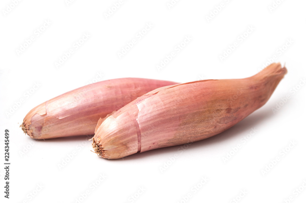 closeup of long Shallots on white background closeup of long Shallots on white background