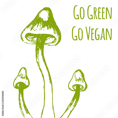 Hand drawn mushrooms. Vector illsutration. Vector mushroom. Go green. Go vegan. Vegan product label. World vegan day. Typography design. Green living.