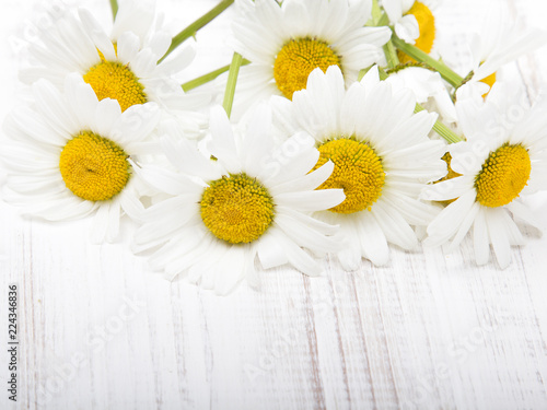 daisy flower on white wooden background  copy space