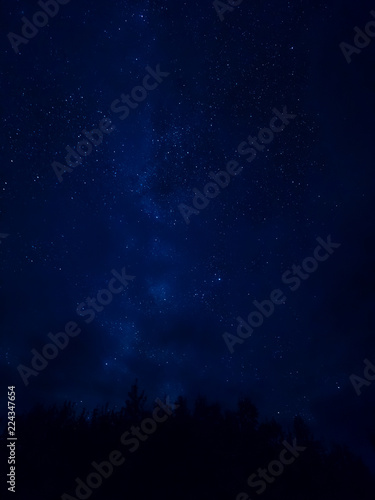 Star tracks upon top of trees. Starry night sky in cloudy weather. Kenozersky National Park  Arkhangelsk region  Russia.