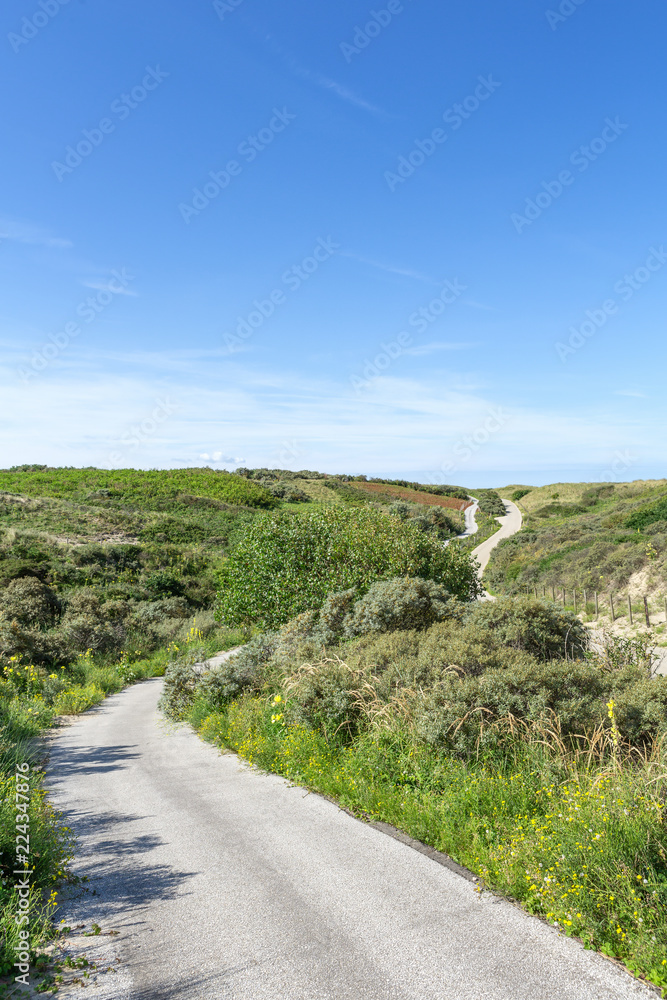 Wanderweg durch den Dünenpark – Niederlande Wanderweg durch den Dünenpark – Niederlande