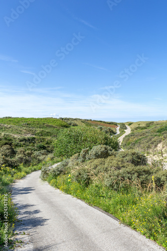 Wanderweg durch den Dünenpark – Niederlande photo