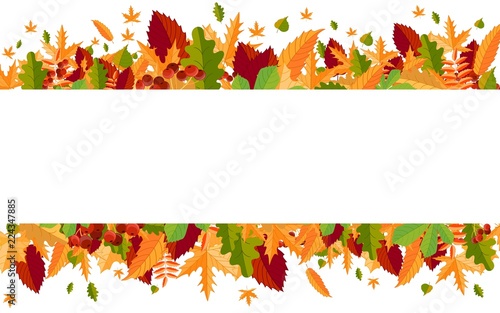 Banner of colorful autumn leaves and berries. Vector