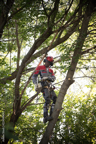 Man climbs up on a tree.The man is wearing safety equipment clothes