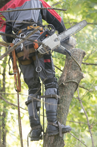 Man sawing a tree using a chainsaw. The man is wearing safety equipment clothes