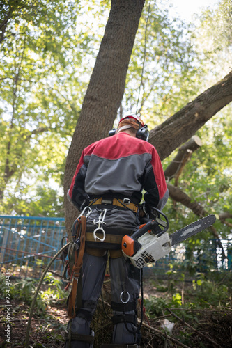 Worker in protective suit in a forest holds a chainsaw