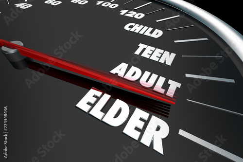 Child Teenager Adult Elder Speedometer Words 3d Illustration