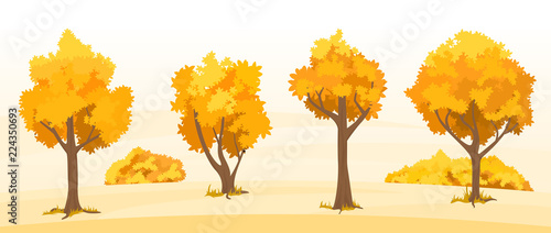 Autumn trees set