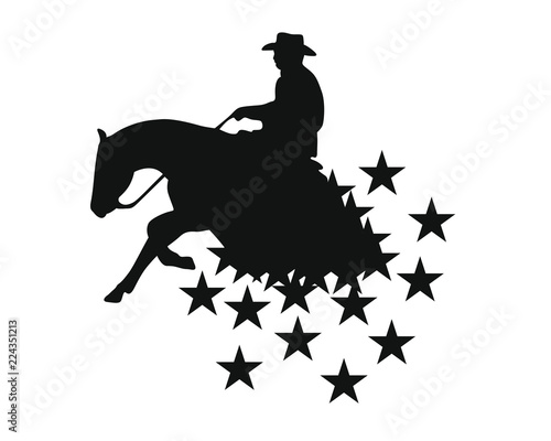 Sliding Stop & Reining - Quarter Horse - USA Stars