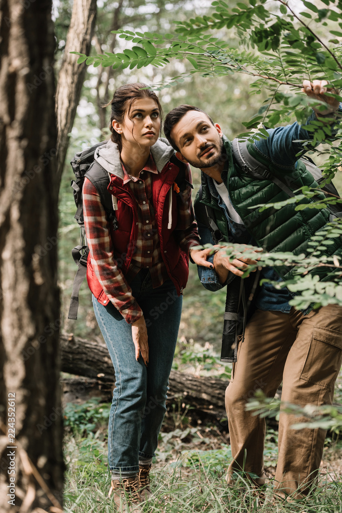 Couple of young travelers with backpacks hiking in woods