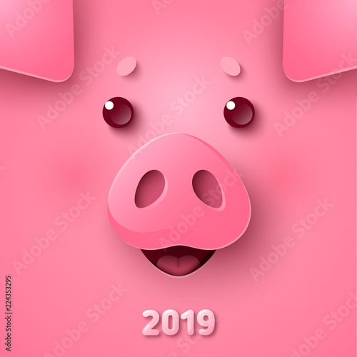 Pig face for Chinese New Year