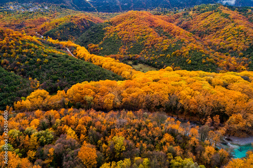 Aerial view of forest in autumn in the Epirus Zagorohoria, Greece.
