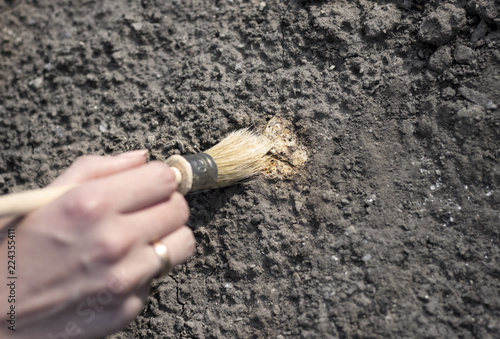 archeology female hand holds brush a tassel excavation of rare materials treasure hunt and archeology find rare resources Ideal for archeology news