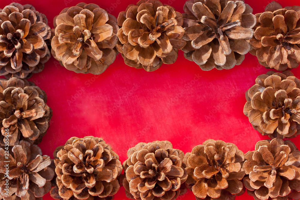Fototapeta premium Pine cones on red background.