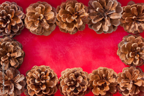 Pine cones on red background.