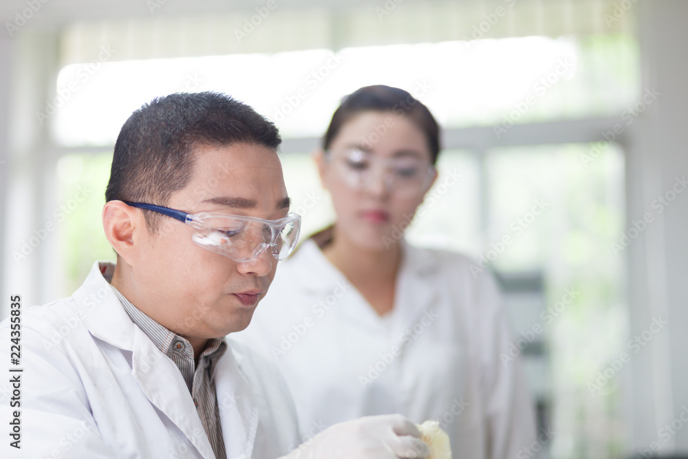 Obraz premium people working at laboratory
