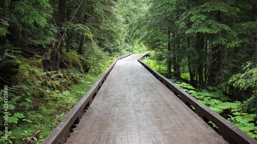 Lake Kinney, Mt Robson Provincial Park, Canada photo