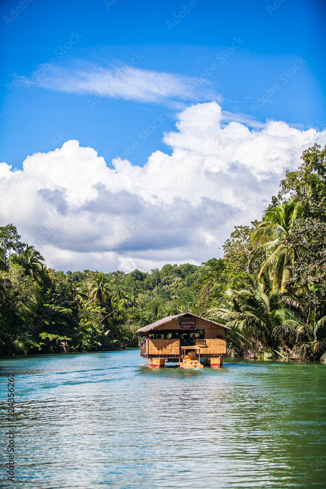 Naklejka premium Loboc River