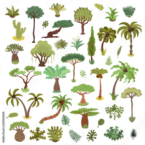 Collection of tropical trees, palms and other tropical exotic plants vector illustration set. Lush forest. Rainforest jungle trees, plants, shrubs, leaves and bushes, paradise beach resort crooked