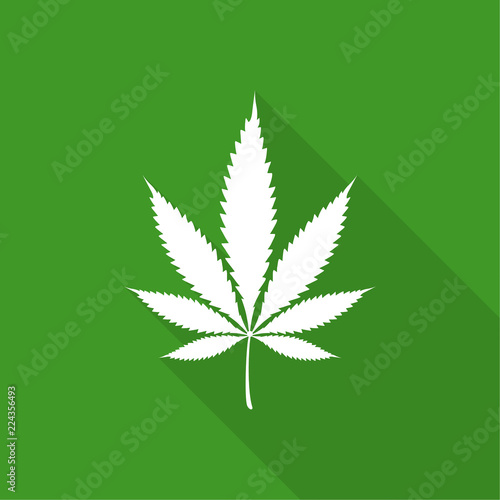 Vector illustration of marijuana leaf, cannabis. Isolate on green background