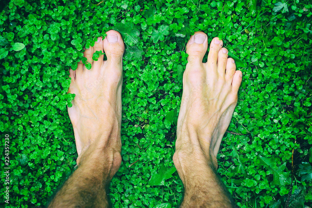 Bare feet on green grass stock photo. Image of outdoors - 42176822